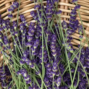 HOUSE OF RAEFORD FARMS - Updated February 2026 - 1354 Rutherford Rd ...