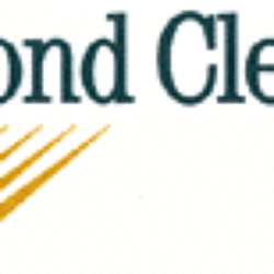 Diamond Dry Cleaners - Dry cleaning pick up and delivery service (free)