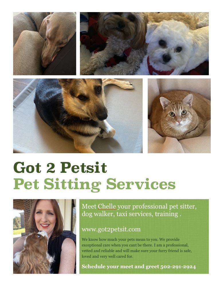 Modus Lifestyle - grief counselor in Louisville, KY