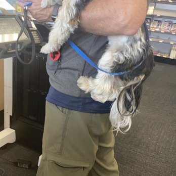 FedEx Office Print & Ship Center - Cute dogs allowed - Printing Services Near Me - San Clemente, California FedEx Office Print & Ship Center - Cute dogs allowed - Printing Services Near Me - San Clemente, California
