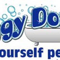 Soggy Dog