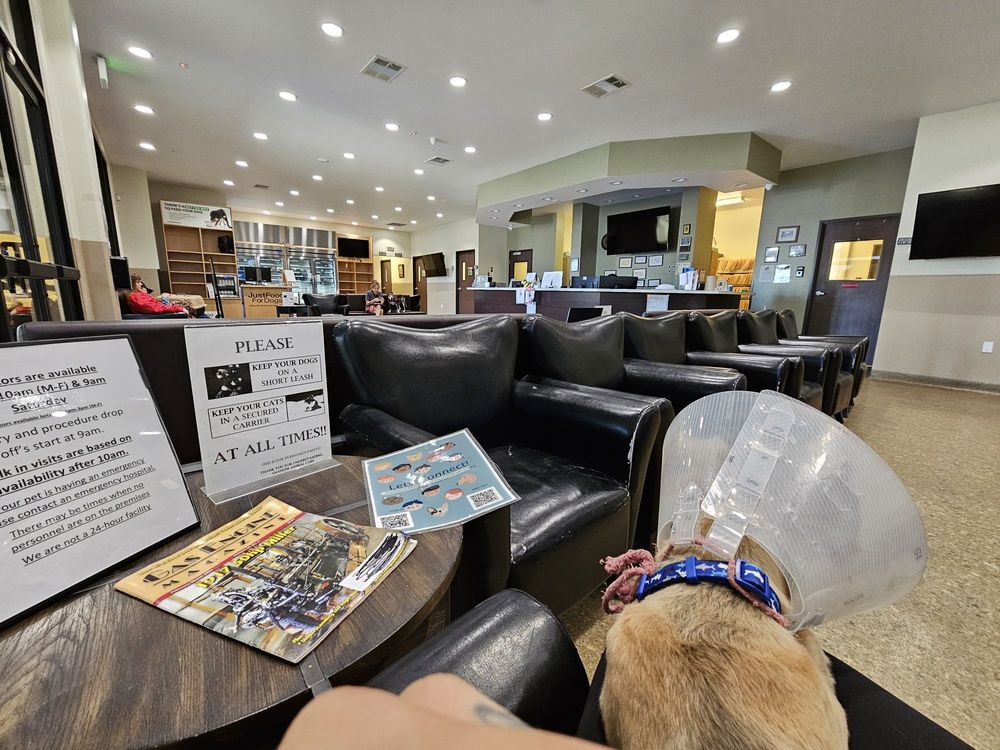 ANAHEIM ANIMAL CARE & PET HOSPITAL Updated October 2024 203 Photos