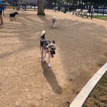 Maxwell Dog Park - Dog Parks Near Me - Anaheim, California Maxwell Dog Park - Dog Parks Near Me - Anaheim, California