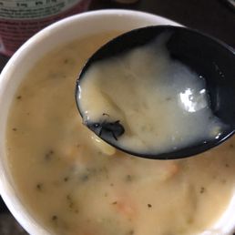 Beetle/crock roach thing in my soup.
