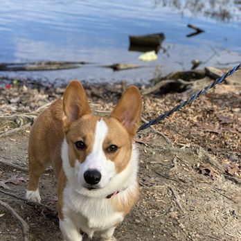 Burke Lake Park - Parks Near Me - Fairfax Station, Virginia
