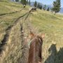 Hell's A-Roarin' Outfitters
