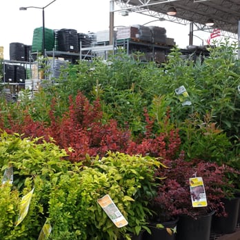Lowe's Home Improvement- Dallas - Hardware Stores Near Me - Dallas, Texas