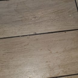 Floors were sticky and filthy.