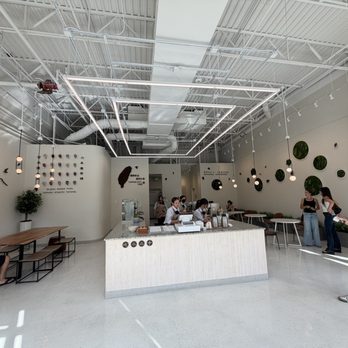 ChiCha San Chen - Bubble Tea Near Me - Westminster, Colorado