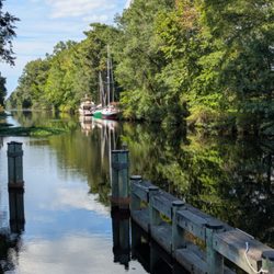 Dismal Swamp State Park