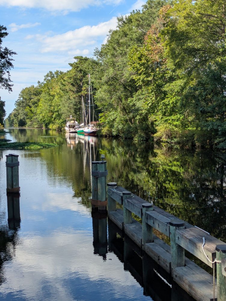 Dismal Swamp State Park