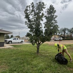 L&P Tree Service