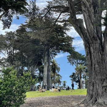 Alamo Square - Parks Near Me - San Francisco, California Alamo Square - Parks Near Me - San Francisco, California