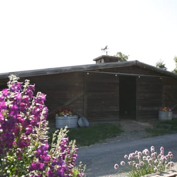 Green Vista Stables - Hay barn - Horse Boarding Near Me - Santa Rosa, California Green Vista Stables - Hay barn - Horse Boarding Near Me - Santa Rosa, California