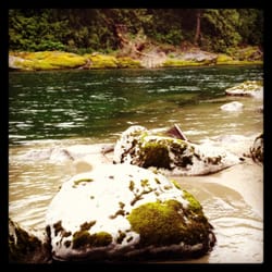 Harmony Lodge Cabin Rentals - On the beach area..