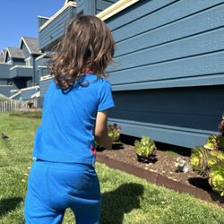 Surf and Sand Lodge - Birds and squirrels entertained my son