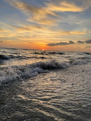 Bonita Beach Park by null