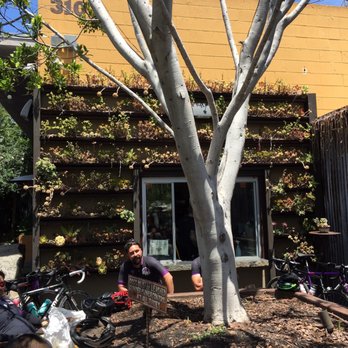 Stone Brewing Tap Room - Oceanside - Outdoor seating - Breweries Near Me - Oceanside, California Stone Brewing Tap Room - Oceanside - Outdoor seating - Breweries Near Me - Oceanside, California