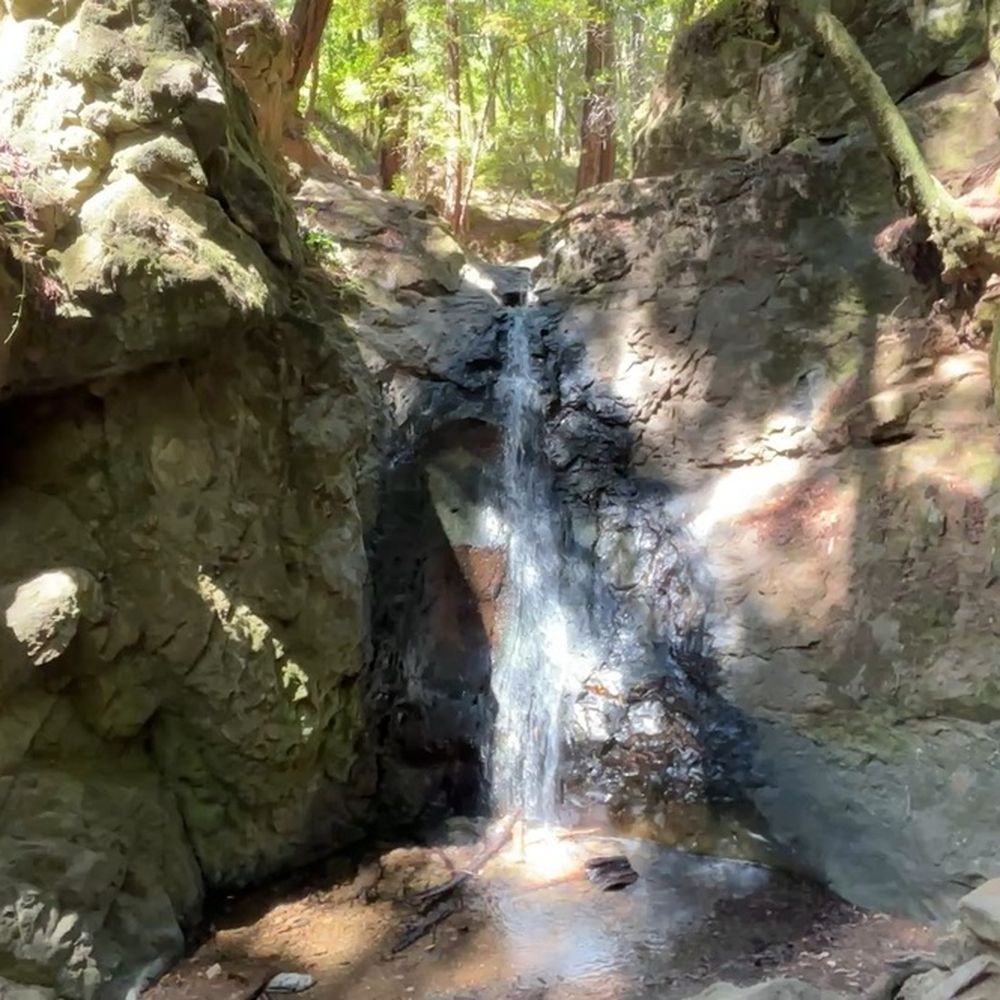 Cascade Park - Parks Near Me - Mill Valley, California
