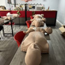 Revive Health & Wellness CPR Training - Manikins