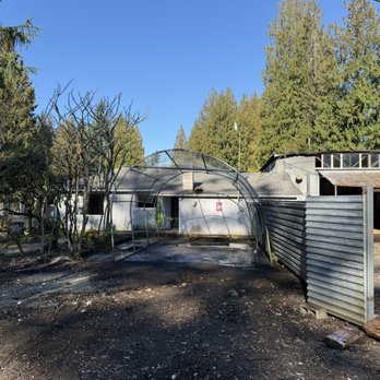 Hank’s Hauling & Junk Removal - After - Junk Removal & Hauling Near Me - Spanaway , Washington Hank’s Hauling & Junk Removal - After - Junk Removal & Hauling Near Me - Spanaway , Washington