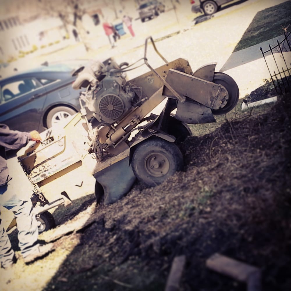 The Stump Terminator - tree service in Bowmansville, NY