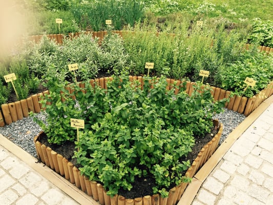 Château Léognan - Hotel & Area Viticole by null