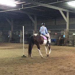 This is Snickers- beautiful well suited horse for jumping