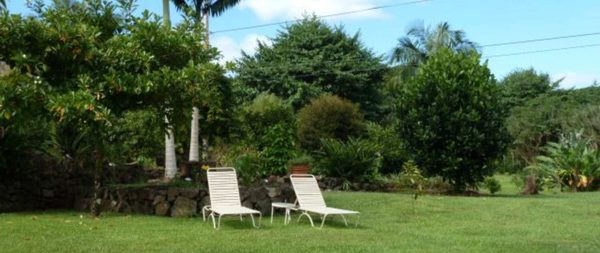 Old Hawaiian Bed & Breakfast by null