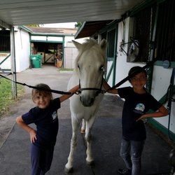 Cloudy Skies Equestrian - The handsome and sweet pony Bruce :) He is so loving and cooperative with my girls even though they lack horse etiquette.