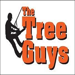 The Tree Guys - tree service in Lincoln, NE