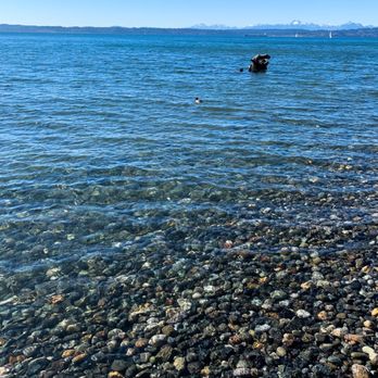 Discovery Park - Crystal clear water - Parks Near Me - Seattle, Washington