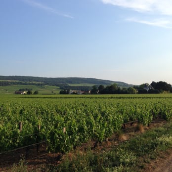 Olivier Leflaive - Olivier Leflaive - Wineries Near Me - Puligny-Montrachet, 21