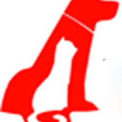 Vet Tech Institute