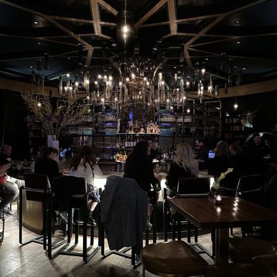 Bar 1608 by null