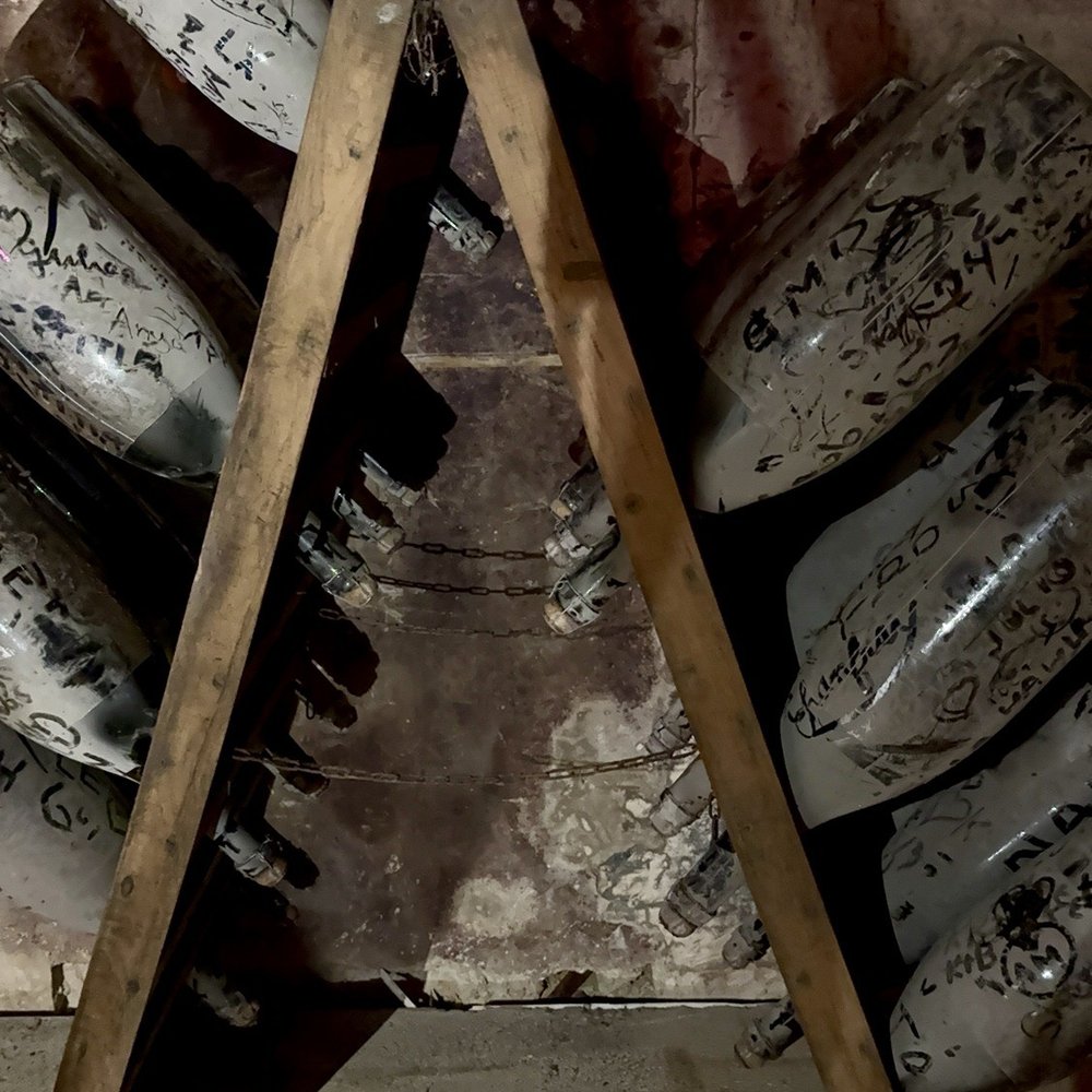 Champagne Pommery - Cave - Wineries Near Me - Reims, 51