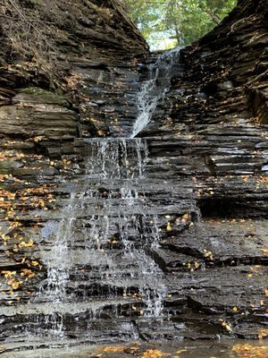Chestnut Ridge Park by null