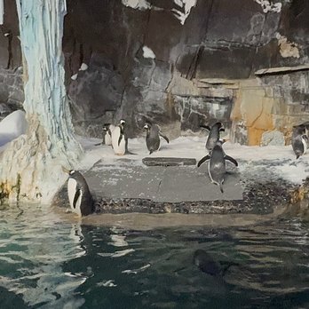 SeaWorld Orlando - Amusement Parks Near Me - Orlando, Florida