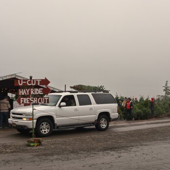 Furrow Farm - Happy customers at Furrow Tree Farm by Darrian Ashoka Imagery on a Sunday afternoon 11/25/18. - Christmas Trees Near Me - Hillsboro, Oregon Furrow Farm - Happy customers at Furrow Tree Farm by Darrian Ashoka Imagery on a Sunday afternoon 11/25/18. - Christmas Trees Near Me - Hillsboro, Oregon