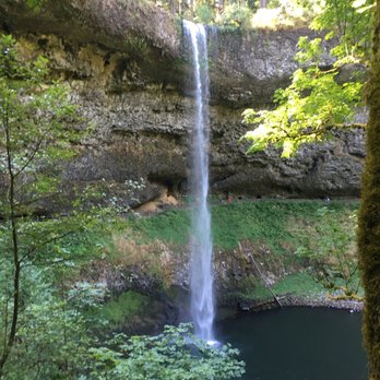 Silver Falls State Park - Can't keep track...so many - Hiking Near Me - Sublimity, Oregon Silver Falls State Park - Can't keep track...so many - Hiking Near Me - Sublimity, Oregon