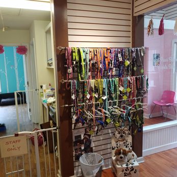 Sweet Paws Bakery - Pet Stores Near Me - Gainesville, Florida Sweet Paws Bakery - Pet Stores Near Me - Gainesville, Florida