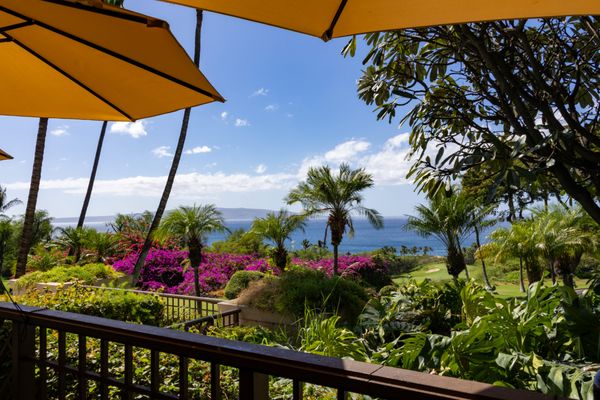 Gather on Maui for Food + Drink by null