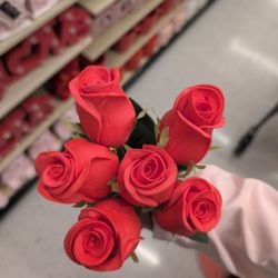 Hobby Lobby