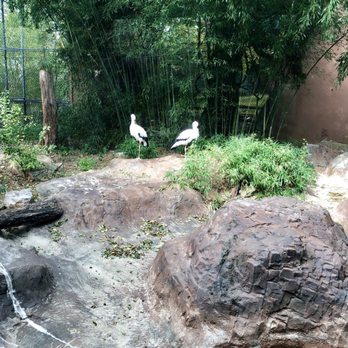 Birmingham Zoo - Zoos Near Me - Birmingham, Alabama Birmingham Zoo - Zoos Near Me - Birmingham, Alabama