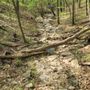 Photo of Powder Valley Conservation Nature Center