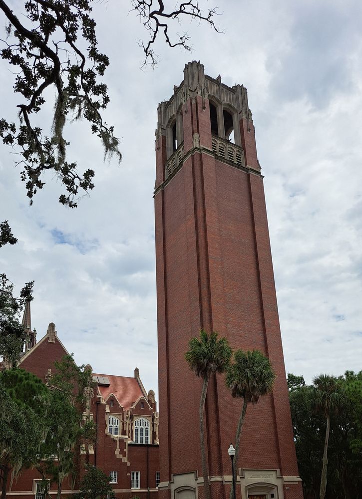 Abivi - social services organization in Gainesville, FL