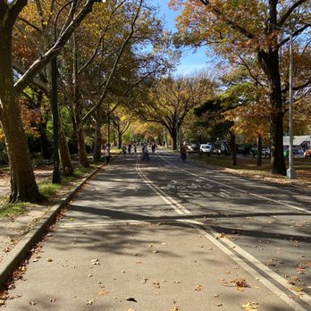 Central Park Conservancy - Parks Near Me - New York, New York Central Park Conservancy - Parks Near Me - New York, New York