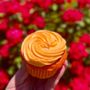 Photo of Angelo's Bakery