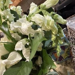 Bethel Flower Market - Wilted flowers