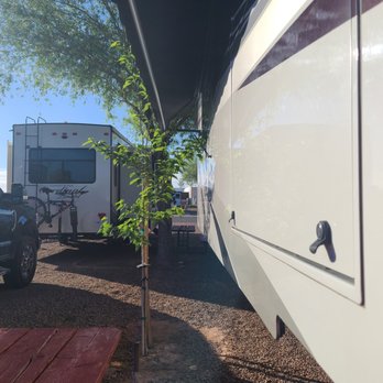 OK RV Park - Up close and personal with this now tiny tree - Campgrounds Near Me - Holbrook, Arizona OK RV Park - Up close and personal with this now tiny tree - Campgrounds Near Me - Holbrook, Arizona